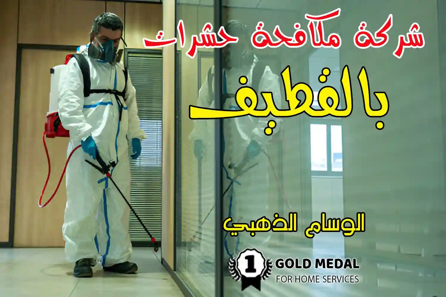 شركة مكافحة حشرات بالقطيف